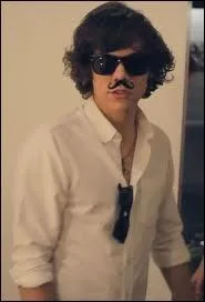 Quelles sont les 2 choses qu'Harry aime faire ? ( part chanter, bien sr )