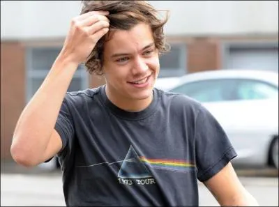 Harry dteste en particularit ...