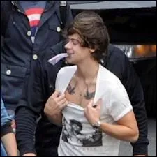 Combien de tatouages possde Harry ?