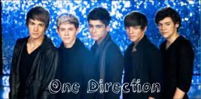 Quel  rle  Harry a-t-il dans les 1D ?