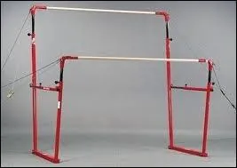 Et en gymnastique masculine ?