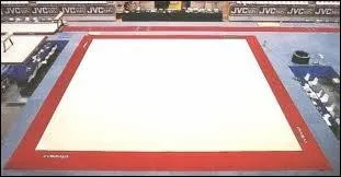 Comment appelle-t-on la surface lisse sur laquelle on enchane des figures ?