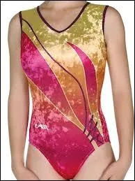 Comment appelle-t-on l'habit spcial qu'on met lors des comptitions ?