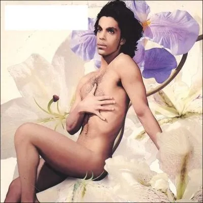 Quel nom porte cet album de Prince ?