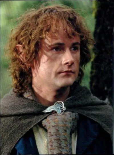 Qui est ce hobbit ?