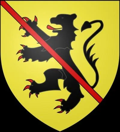 A quelle ville belge ce blason appartient-il ?