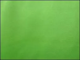 Comment dit-on  vert  en anglais ?