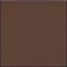 Comment dit-on  marron  en anglais ?