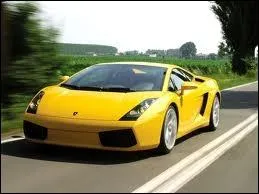 Lamborghini est une marque ...