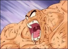 Par qui Nappa a-t-il t tu ?