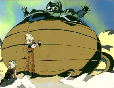 Qui ne fut pas tu par l'explosion de Cell sur la plante de Matre Kaio ?