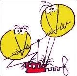 Et pendant ce temps-l, que font les Shadocks ?