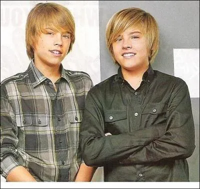 Quel rle jouent ces star dans la vie croisire de zack et cody ?