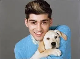 Mme si Zayn ne sait pas nager, qui, en train de se noyer, irait-il sauver quand mme ?