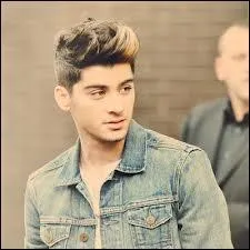 Dans quelle ville Zayn est-il n ?