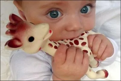 Ce bb se fait les dents sur une girafe en caoutchouc... Comment s'appelle ce jouet franais cr en 1961 ?