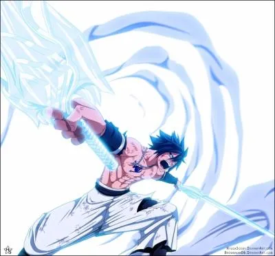 Il se bagarre souvent avec Natsu , il s'appelle ...