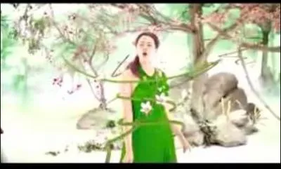 De quel clip vient cette image ?