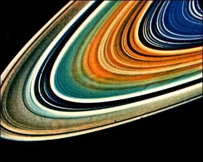 Combien d'anneaux principaux possde cette plante ?