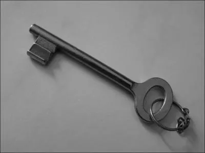 Bien le tenir permet de pratiquer l'image de la photo et d'apporter la victoire !