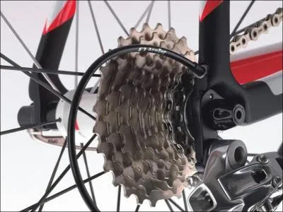 Extrait du Sar Rabindranah Duval : Certaines personnes de son entourage qui pensent que sa comptence, dans le domaine de la pdale, exerce une fcheuse influence sur son comportement sentimental !