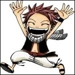 Que veut dire  Natsu  ?