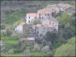 Les habitants de la commune de Campitello sont les ...