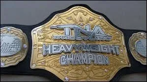 Qui a t le premier champion poids lourds de la TNA ?
