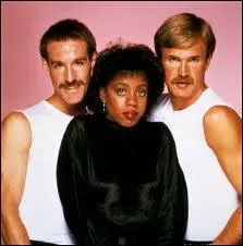 Quel groupe enregistra le titre disco  Can't Take My Eyes Off You  en 1982 ?