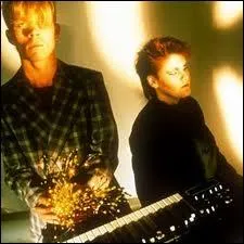 Quel groupe est indissociable de son succs  Don't go  en 1982 ?