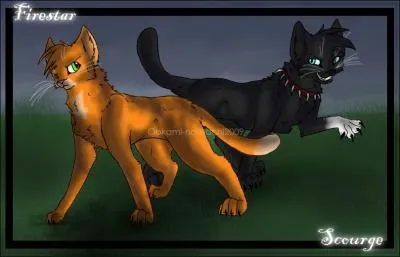 Quel est le lien de patent de Flau avec toile de Feu ?