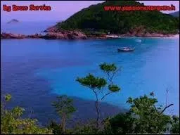 Le tube de l't 83 reste pour l'ternit  Vamos a la Playa . Quel groupe italien en est l'interprte ?