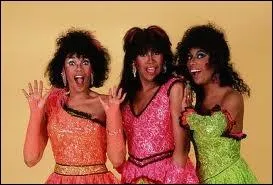  J'm so excited  est interprt par un groupe exclusivement fminin. Comment se nomme ce trio ?