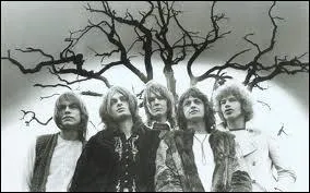 L'anne 1983 a t marque musicalement par le titre  Owner of a lonely heart . Quel groupe a compos ce morceau extraordinaire ?