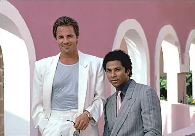 Sonny Crockett et Ricardo Tubbs, deux inspecteurs du dpartement du crime organis exercent dans la ville de ...