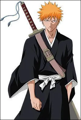 Quel ge a ichigo ?
