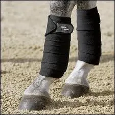 Comment s'appelle la partie poilue juste au-dessus du sabot ?