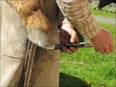 Comment s'appelle la matire du sabot ?