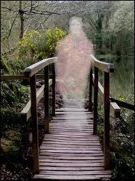 Donne-moi l'auteur du film et les monstres dans  La dame Blanche 