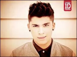 Quelles sont les origines de Zayn ?