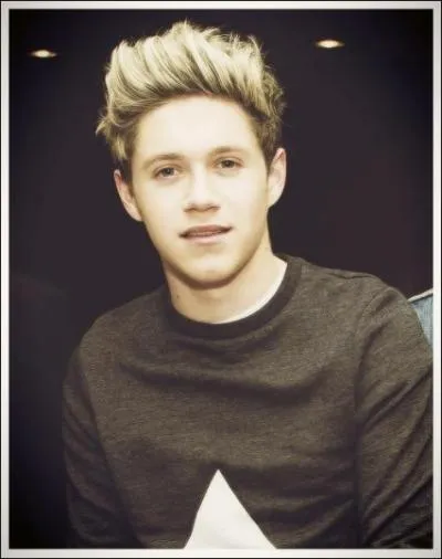 De quelle star internationale Niall est-il fan ? 