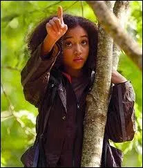 Qui a donn l'ide  Katniss de faire cela ?