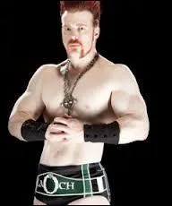 Qui est ce catcheur ?