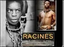 Ouvrage paru en 1976. L'histoire se droule dans les annes 1700. Kunta Kint, un jeune africain, est captur par des chasseurs d'esclaves et envoy par mer en Amrique. Qui est l'auteur ?