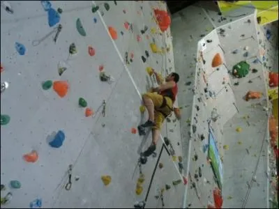 Que signifie  parer  ?