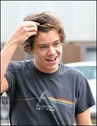 Comment s'appelle la soeur d'Harry Styles ?