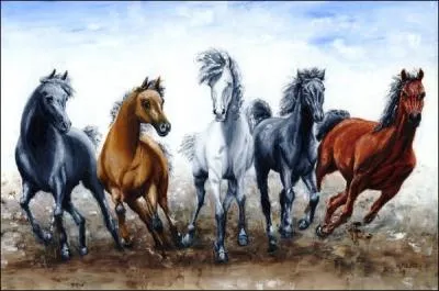 Comment se nomme un troupeau de chevaux sauvages ?