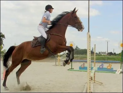 En combien d'tapes se droule un saut ?