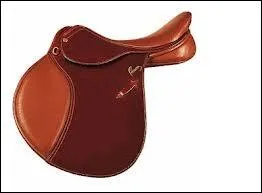 Quelle partie n'est pas sur une selle ?