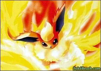 Qui est ce pokemon ?